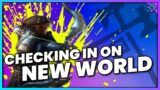 Checking in on New World and the latest update!
