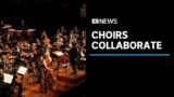 Choirs from Tasmania and Western Australia combine to sing Britten's War Requiem | ABC News