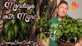 Container Salad Bowl Garden! Indoor Herb Garden! Upcoming shorts, and DIY Garden Tips and Tricks!