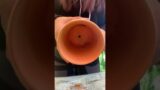 Creating Drain Holes in Terracotta Pots Using a Hammer and Screwdriver