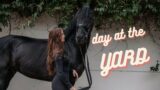DAY AT THE YARD + RIDING GEE