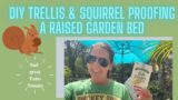 DIY Garden Trellis and Squirrel Proofing a Raised Garden Bed | Florida Gardening | Zone 9 Tomato