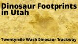 Dinosaur Footprints in Utah