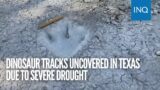 Dinosaur tracks uncovered in Texas due to severe drought