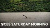 Discovery fuels Loch Ness Monster believers