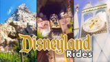 Disneyland Rides – 2022 POVs [4K]
