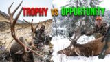 Elk Management in the West | Fresh Tracks Weekly (Ep. 21)