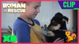 Farrah's Forever Family | Roman to the Rescue | @Disney XD  x @Dodo Kids