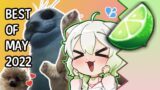 Ferret Vtuber Teaches Chat the 'Naughty Tango' – Best of May 2022