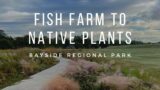 Fish Farm to Native Plants: Bayside Regional Park