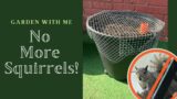 GARDEN WITH ME: Potted plant animal protection // Squirrel and bird proofing pots