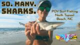 Girl Catches SO MANY SHARKS Surf Fishing on North Topsail Beach, NC