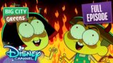 Green Greens! | S3 E5 | Full Episode | Big City Greens | Disney Channel Animation