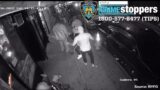 Group of Assailants Beats, Stabs Man Outside New York City Bar