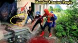 Group of Spider Man and Hunters VS Carnivovous Monster and Two Giant Python | Survival Hunter