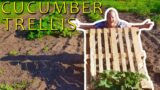 HOW To Make A Garden TRELLIS For Cucumbers Out Of PALLETS