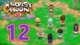 Harvest Moon: Tale of Two Towns 3DS – Episode 12: Butterfly Fingers