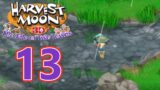 Harvest Moon: Tale of Two Towns 3DS – Episode 13: Snapping Up Profits