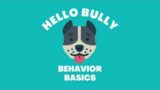 Hello Bully Behavior Basics Week Four