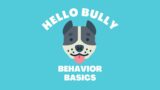 Hello Bully Behavior Basics Week Three