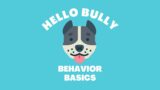 Hello Bully Behavior Basics Week Two