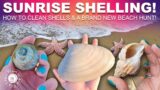 Holy Cow! Sunrise Shelling | Beach Hunt | How To Clean Shells | Shelling New England | Plum Island