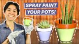 How To Paint Terracotta Pots with Spray Paint (2-Color Pattern)