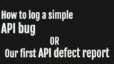 How to log a simple API bug or Our first API defect report