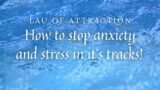 How to stop anxiety & stress in it's tracks | Vagus Nerve Reset | Box Breathing |End Fight or Flight