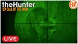 Hunting the Mississippi SWAMP! l theHunter: Call of the Wild (LIVE)