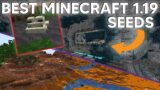 I found the BEST Minecraft 1.19 Seeds that you HAVE to play!