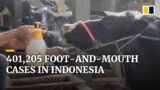 Indonesia raises alarm over outbreak of foot-and-mouth disease in cattle