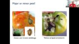 Integrated Pest Management for Backyard & Community Vegetable & Fruit Growing – Webinar