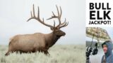 Jackpot! With Bull Elk in Western Wyoming – Wildlife Photography Vlog