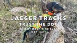 Jaeger Tracks: Trust the Dog. Watch and learn.