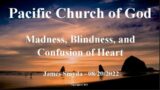James Smyda – Madness, Blindness, and Confusion of Heart