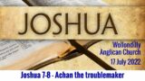 Joshua 7-8  Achan the troublemaker