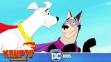 Krypto The Superdog | Thundermutt to the Rescue! | @DC Kids