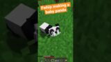 LDShadowLady Kidnapped Fwhip’s Panda!