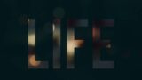 LIFE / Mario Barbosa (Guitarra) &  Req-One-Beats