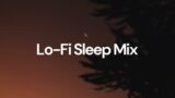 Lo-Fi Sleep Mix [chill lo-fi hip hop beats]