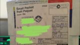 Mail Time!!! Trainer Tre, CharizardFartz, and eBay purchase