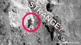 Mars Latest Images | Rover Spotted Possible Life on Mars?