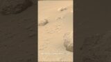 Mars Perseverance rover sent latest SHOCKING Images of Martian Life #mars #perseverance #nasa
