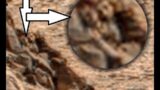 Mars Rover spotted Humans on Mars
