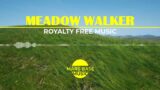 Meadow Walker – Mars Base Music | Royalty Free