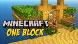 Minecraft But You Only Get ONE BLOCK!!! (Episode 2) MINECRAFT 1.19