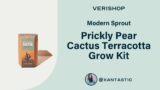 Modern Sprout Prickly Pear Cactus Terracotta Grow Kit Review