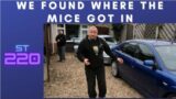 Mondeo Mice Invasion – How They Got In