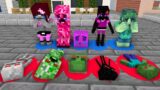 Monster School :  – minecraft animation